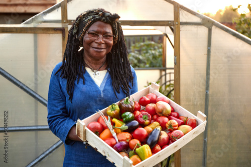 Woman picking tomatoes photo