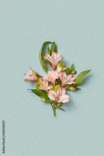 Floral artwork made of colorful alstroemeria photo