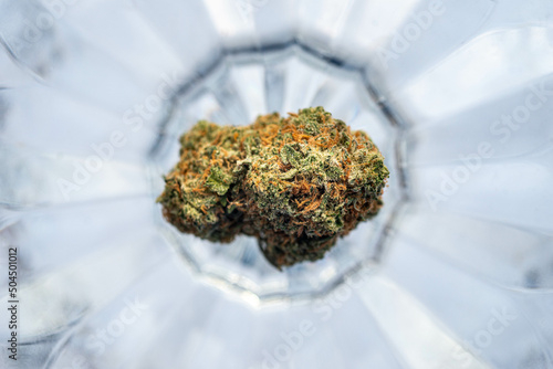 Single Marijuana Bud