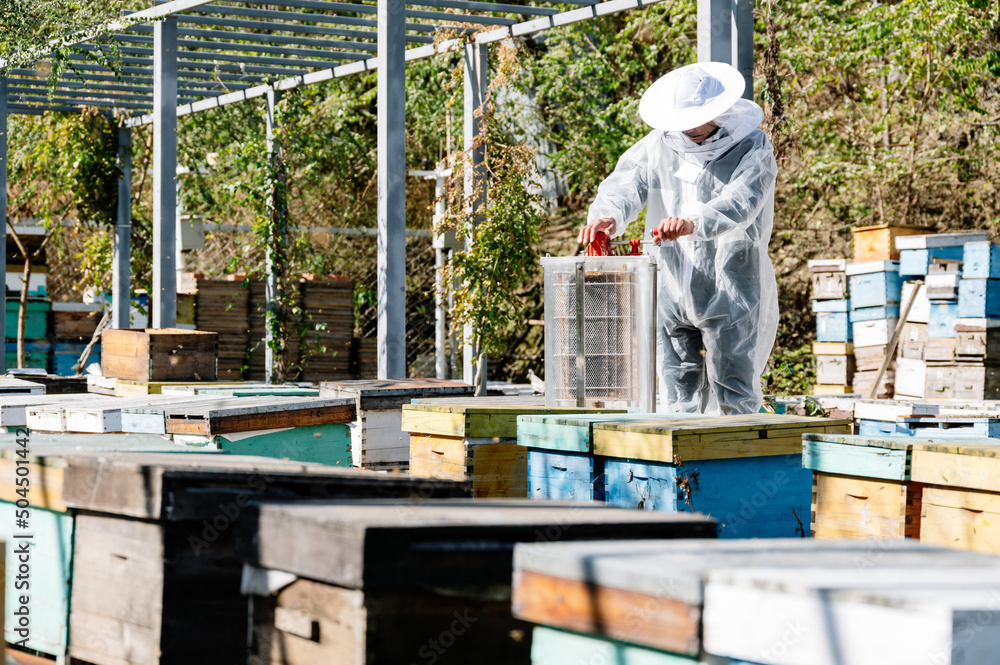 The beekeeper works in the apiary The beekeeper works in the apiary