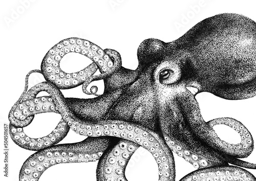 Dotwork Octopus Illustration