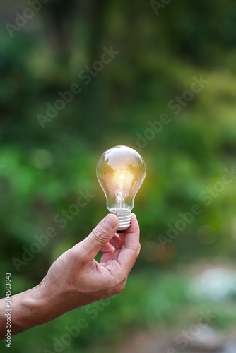 Light bulbs that grow, in the concept of energy in nature. 