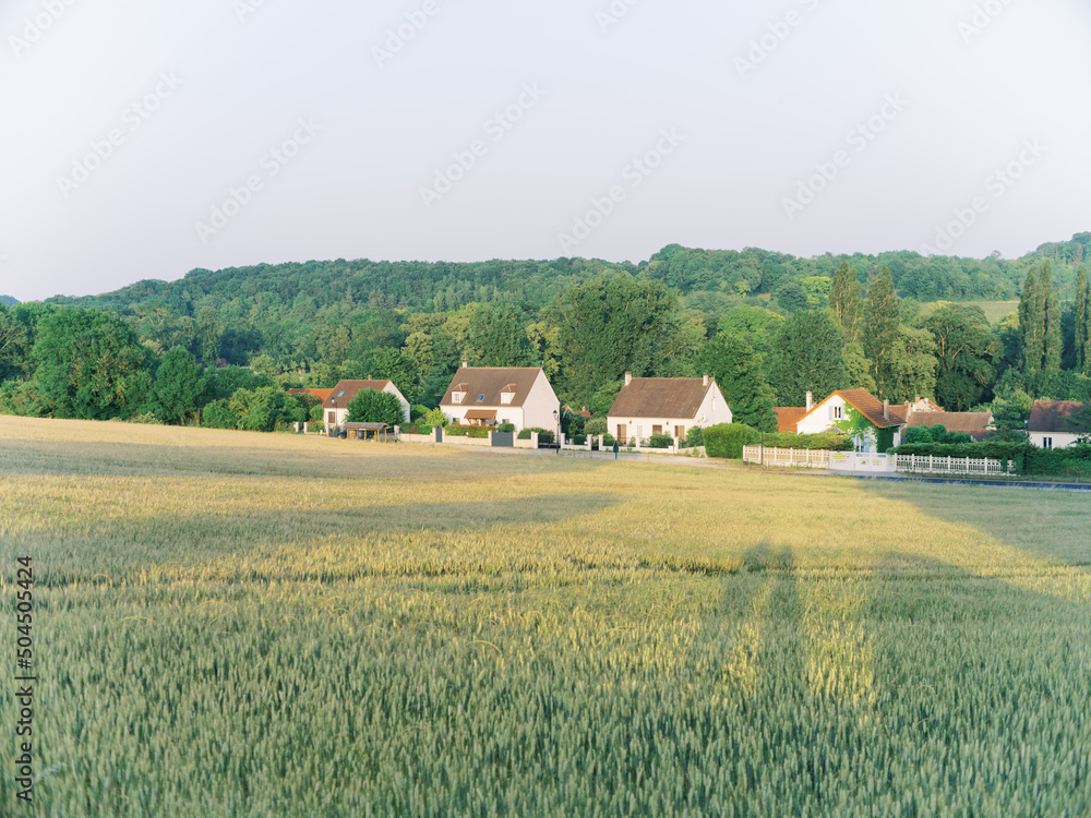 Large Wheat Field With Houses Large Wheat Field With Houses