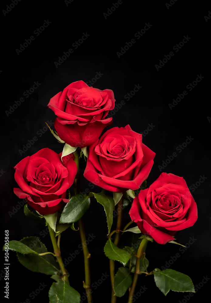 Fototapeta premium bunch of roses