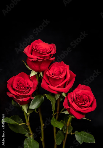 bunch of roses