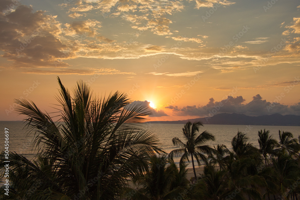 Sunset over Ocean with Palm Trees Sunset over Ocean with Palm Trees