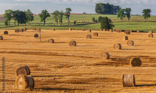 Fototapeta Naklejka Na Ścianę i Meble -  View of the Masurian fields.