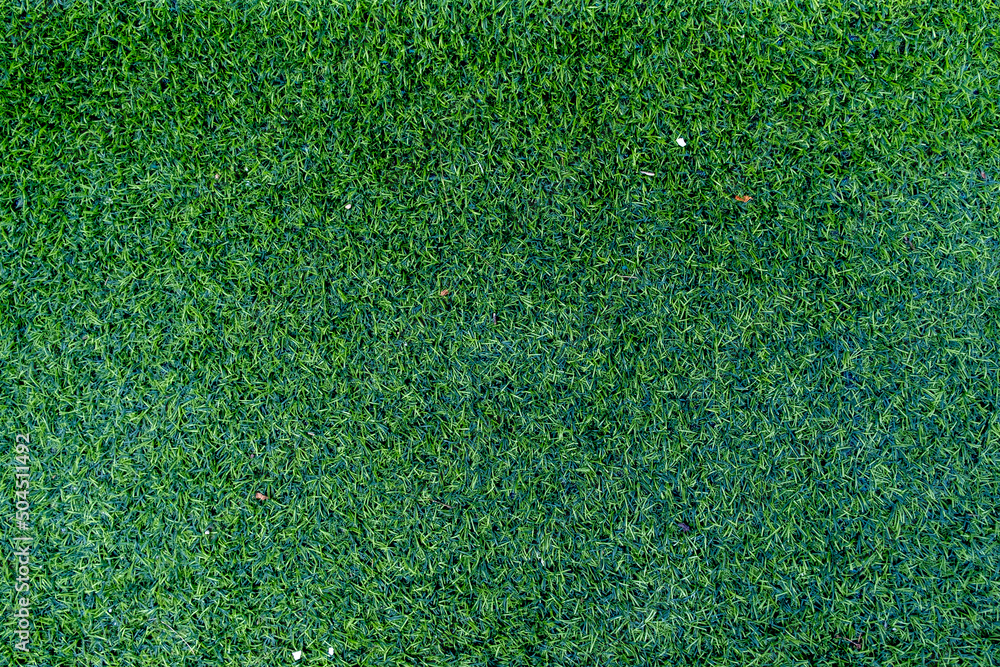 Fototapeta premium green grass texture
