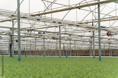 Greenhouse with metal construction photo