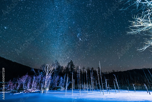 北海道　美瑛　青い池と天の川
