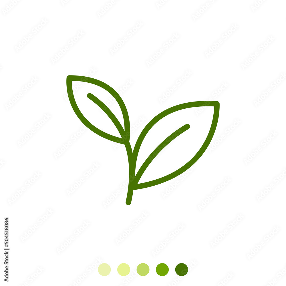 Fototapeta premium Simple green leaf linear icon.