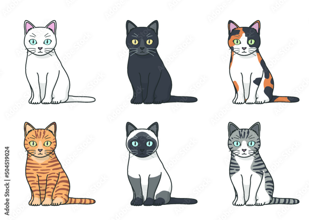 色々な模様の猫