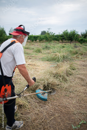 Seniour Farmer Cutting Overgrown Weeds  photo