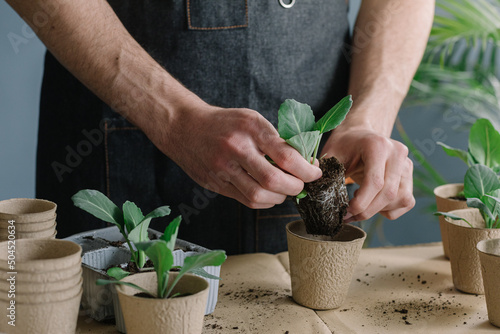 Anonymous Man Repotting Plants In Compostable Vase
