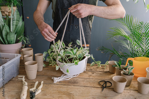 Man Preparing To Hang Plants From The Ceiling Surrounded By Nature 