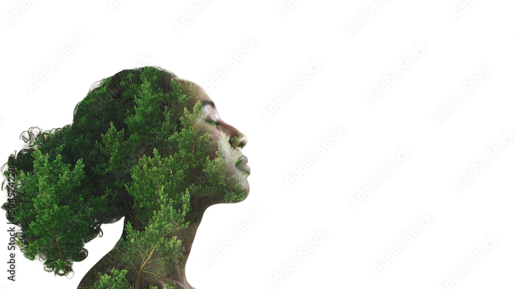 Nature beauty. Organic cosmetology. Ecology inspiration. Double exposure profile silhouette of relaxed woman face with green forest trees foliage isolated on white copy space.