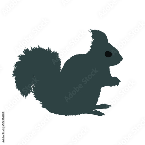  Squirrel vector silhouette on white background