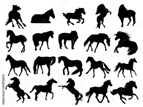 
Vector set bundle of hand drawn horse silhouette isolated on black background, vector illustration graphic art. Horse Vector Art, Icons, and Graphics for Free EPS