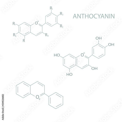 Anthocyanin molecular skeletal chemical formula. 
