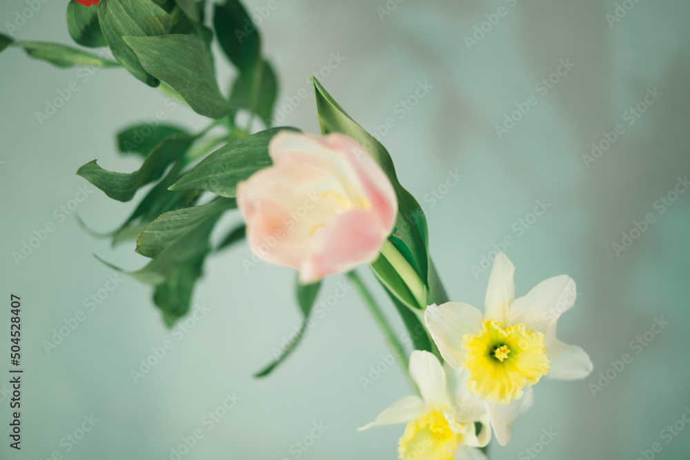 Pastel flowers Stock Photo | Adobe Stock