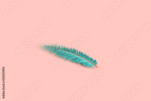 Blue feather on a pink background. 3d render photo