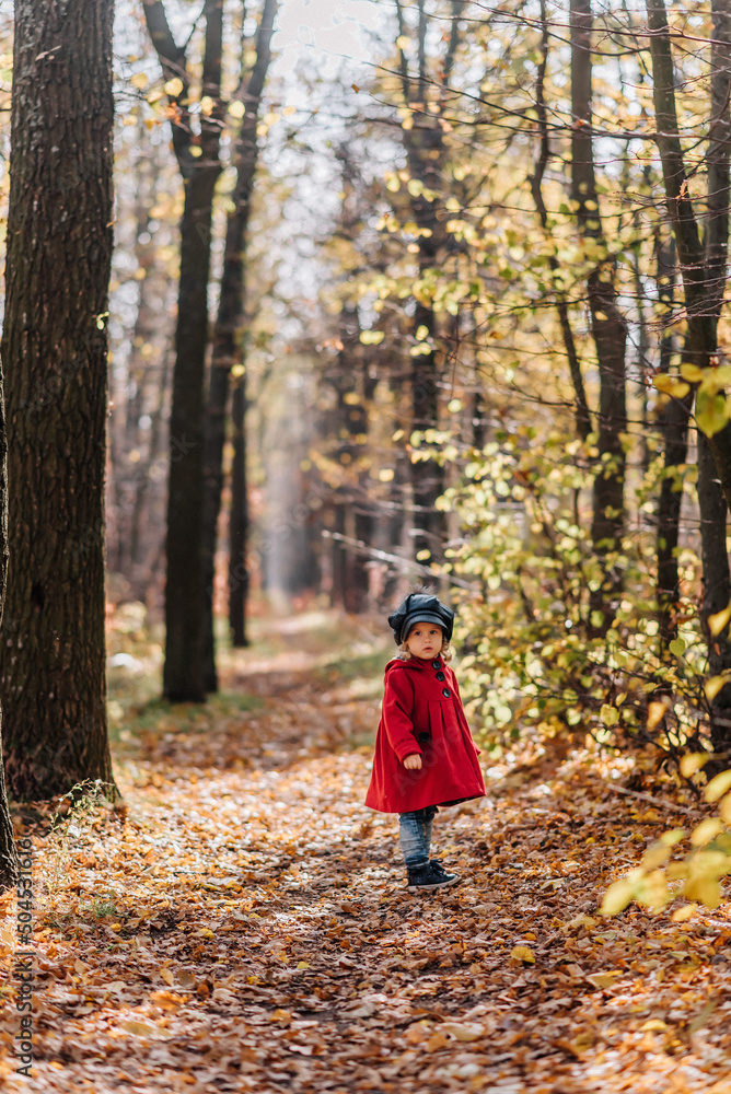 Little girl in a red coat walk in autumn forest Little girl in a red coat walk in autumn forest