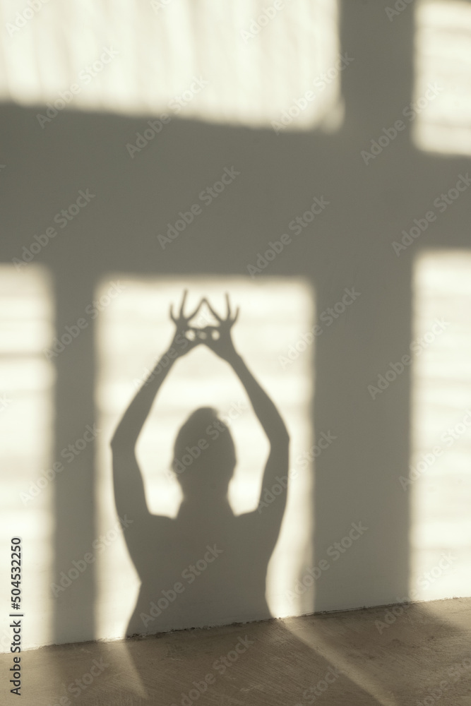 Shadows on a wall Shadows on a wall