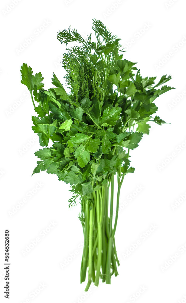 Fresh bunch of parsley and dill on white background Fresh bunch of parsley and dill on white background