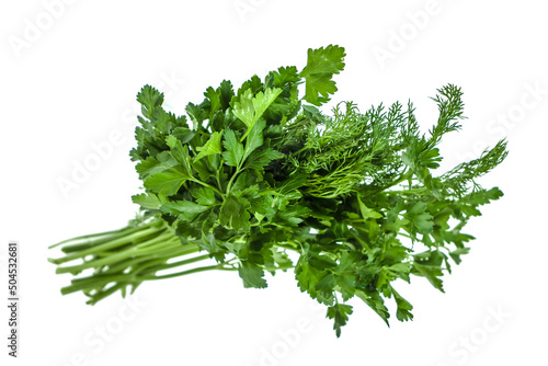 Fresh bunch of parsley and dill on white background