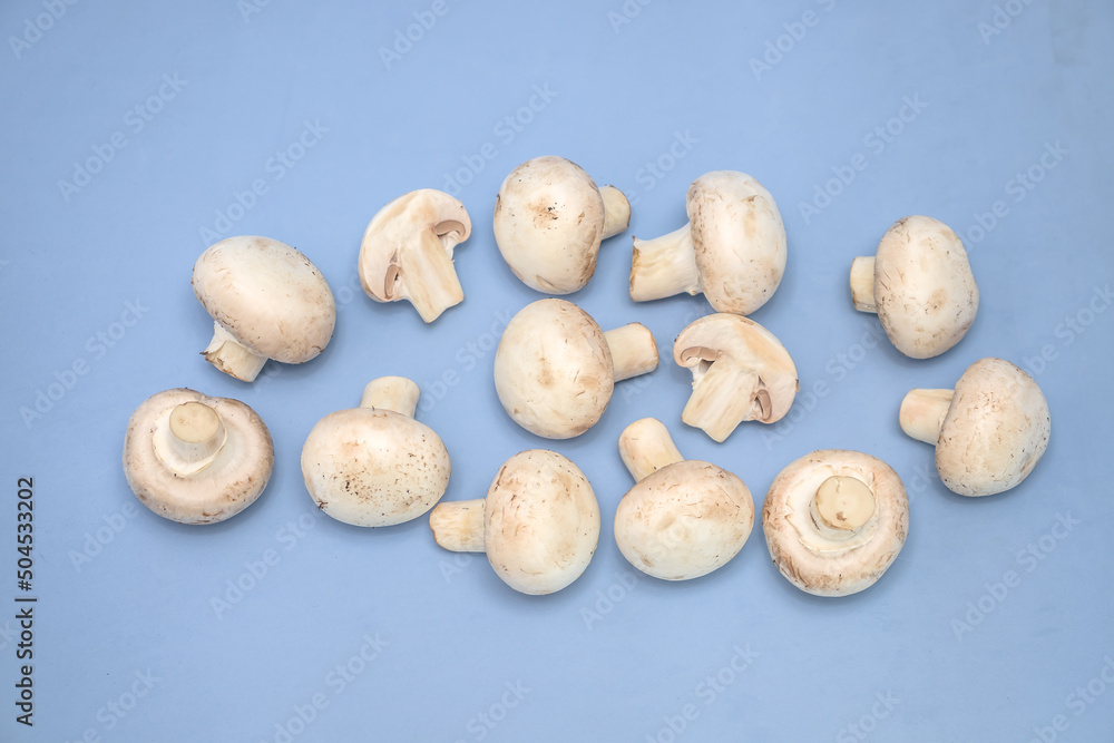 Champignon mushrooms,Mushroom pieces,Close-up Champignon mushrooms,Mushroom pieces,Close-up