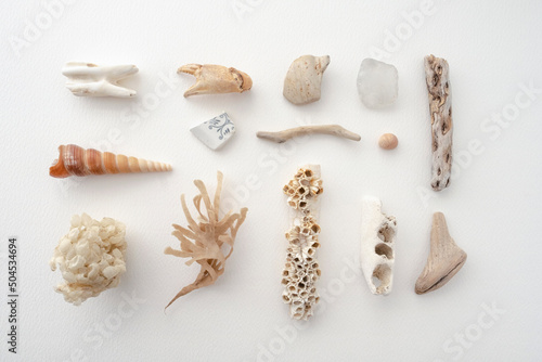 Collection of objects found on the beach
