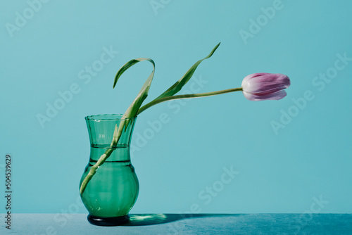 glass vase with a violet tulip on a table photo