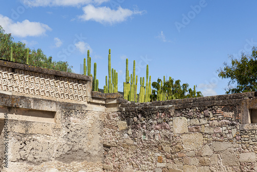 A wall of the archaeological zone of Mitla with cardones  photo