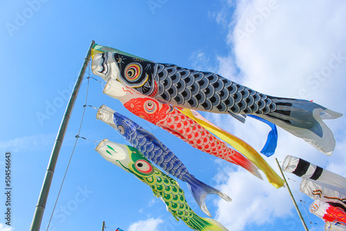 晴天の鯉のぼり