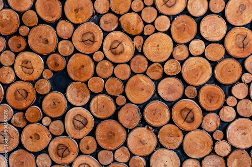 Close up of tree stumps background. Wall of stacked wood logs as backgrounds. Wood cross slice. Stack of brown circle wood, front view. Abstract wall Art Pattern. Textured cut timber Wallpaper. photo