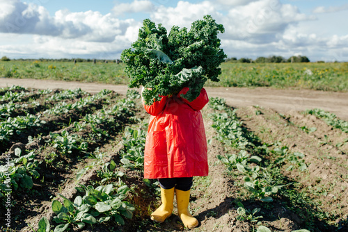 Kid covering face with fresh kale plant in field photo