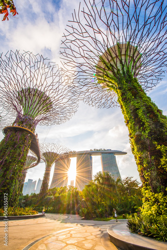 Garden By The Bay in Singapore