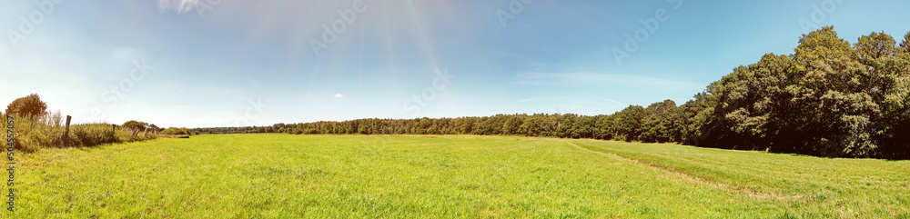 Weide im Sommer am Waldrand - Wiese mit Bäume Panorama Weide im Sommer am Waldrand - Wiese mit Bäume Panorama