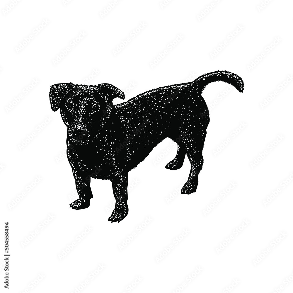 dachsador illustration isolated on background dachsador illustration isolated on background