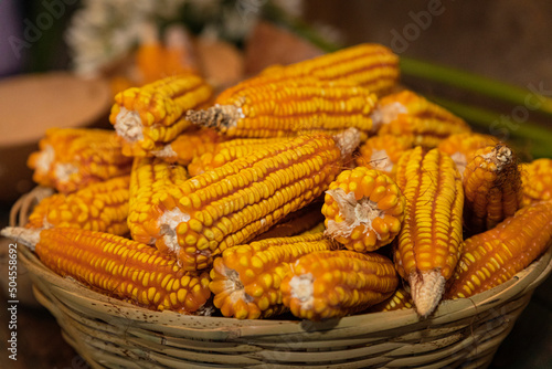Yellow corn cobs in a basket with a blurred background photo