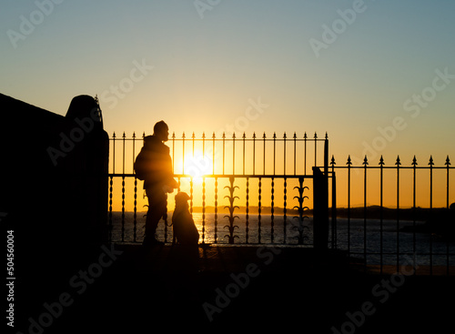 Man watching the sunset with his dog