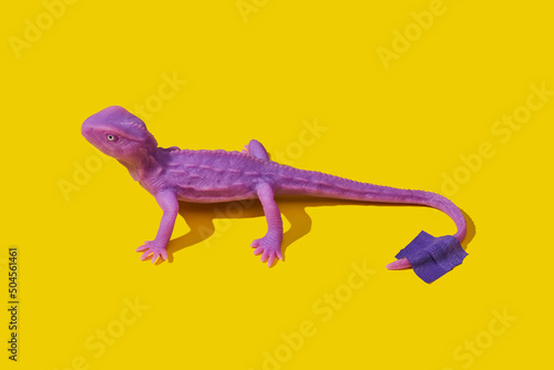 purple rubber lizard stuck with a piece of tape photo