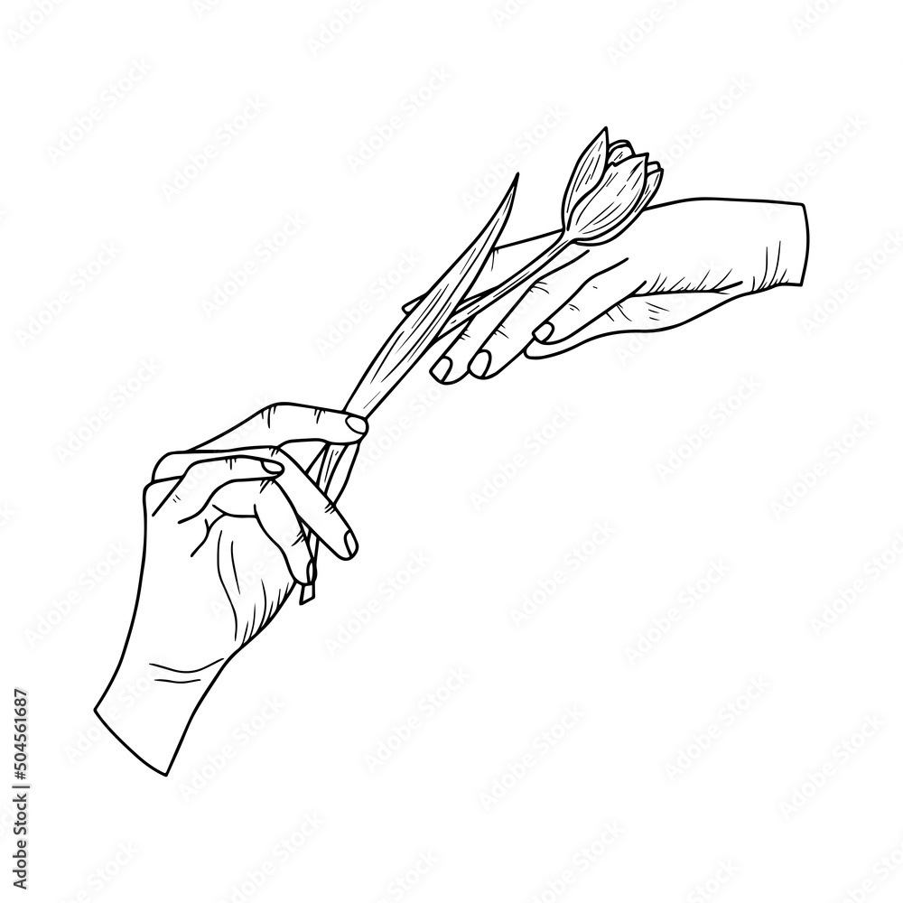 Vector design outline template logo or emblem - hands with tulip flower Vector design outline template logo or emblem - hands with tulip flower