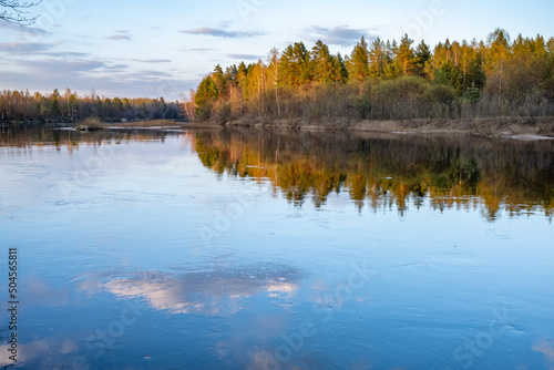 Picturesque river in the forest. Spring landscape. Russian nature. Beautiful calm river.