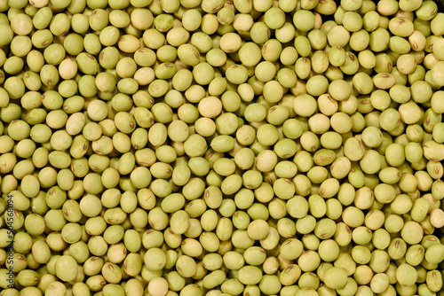 「青大豆」という日本の北海道産の豆です。