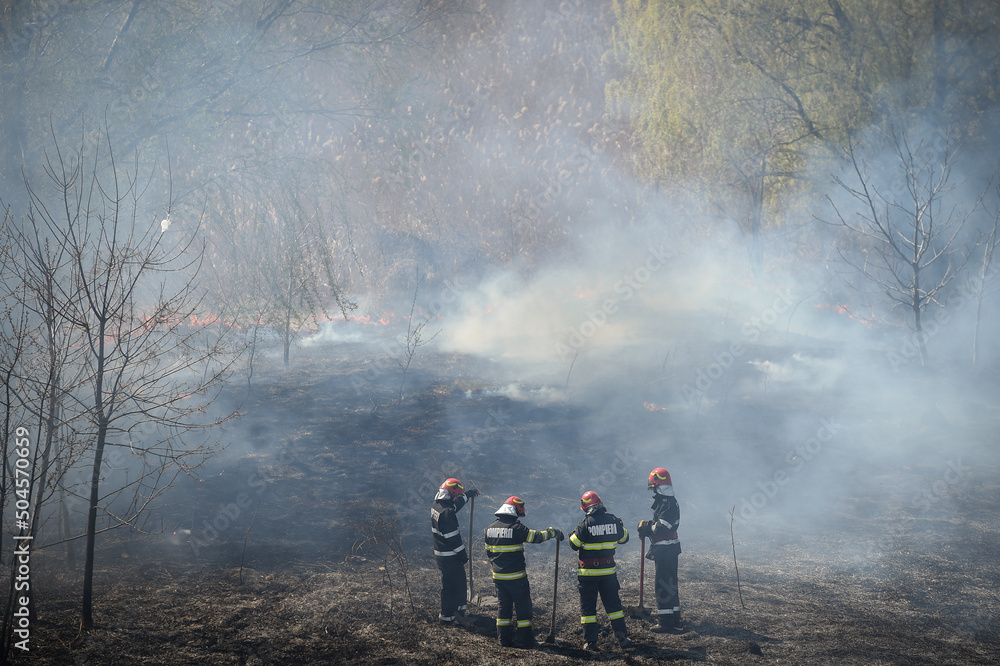 Naklejka premium Wildfire in Vacaresti Natural Park, the largest green space in Bucharest, Romania