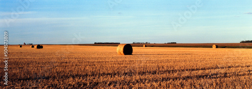 Hay Bale in a Wheat Field with grain elevator, Feudal