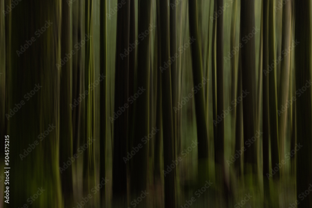 Abstract blurry trees in a green forest Abstract blurry trees in a green forest