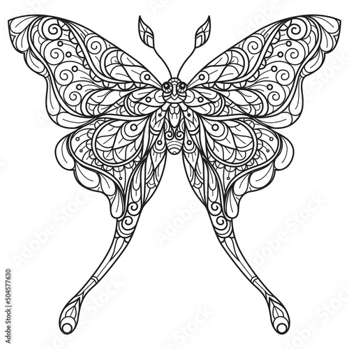 Butterfly hand drawn for adult coloring book