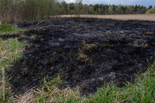 Forest and field fire. Dry grass burns, natural disaster. Burning and ash.
